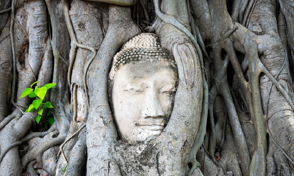 Ayutthaya Heritage Tour with River Cruise & Buffet Lunch