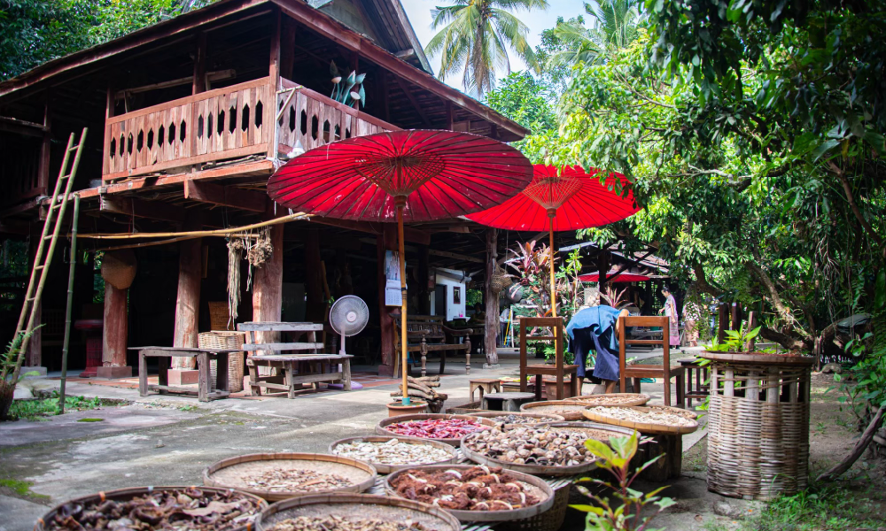 Cooking Class Experience at Lanna House